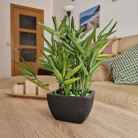 Playa Bouzas - - Parking Free