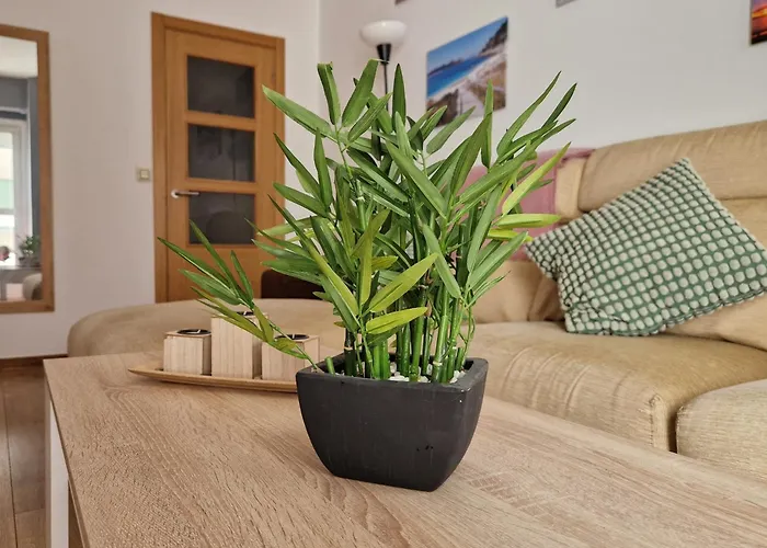 Playa Bouzas - - Parking Free